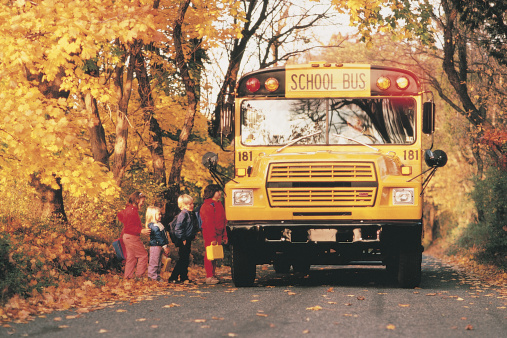 Field Trips 